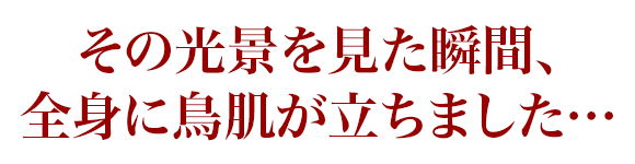 その光景を見た瞬間、全身に鳥肌が立ちました…