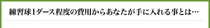 練習球1ダース程度の費用からあなたが手に入れる事とは…